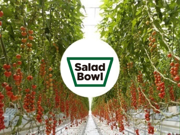 サラダボウルグループ-top