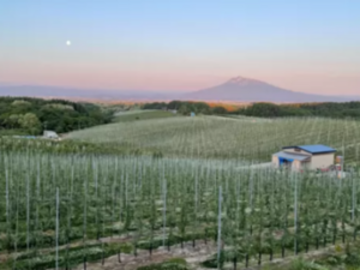 株式会社ファーマインド-6