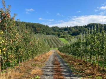 株式会社ファーマインド-5