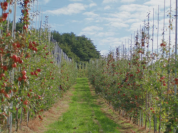 株式会社ファーマインド-3