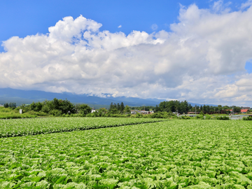 長野県南牧村×経理/法人【43056】-1