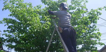 株式会社四季庭