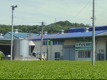 やまも製茶株式会社-1