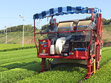 やまも製茶株式会社-3