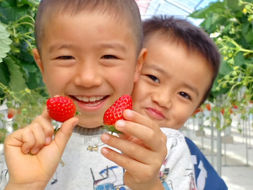 やまも製茶株式会社-2