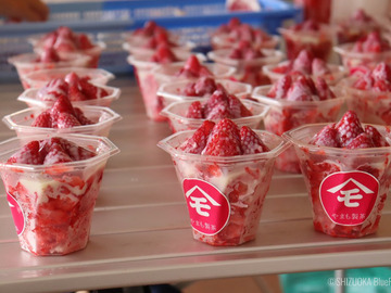 やまも製茶株式会社-5