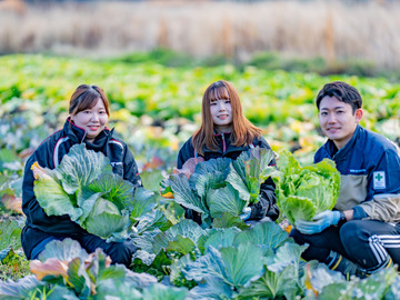 福岡県北九州市×野菜/法人【43057】-3