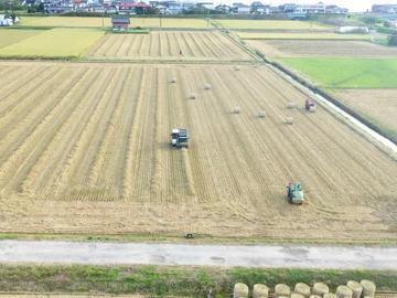 ライスフィールド有限会社-7