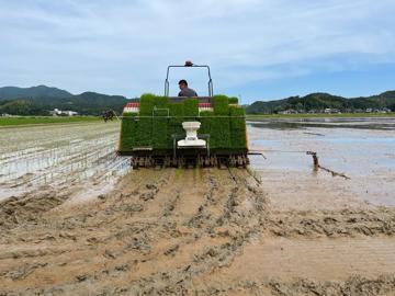 ライスフィールド有限会社-4