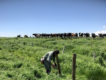中川牧場(北海道)-top