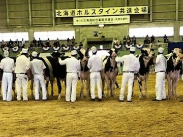 中川牧場(北海道)-3