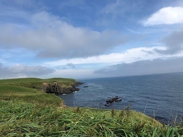 中川牧場(北海道)-6