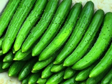 株式会社たまの農園出荷組合-1