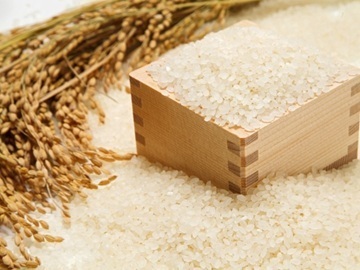 株式会社たまの農園出荷組合-2