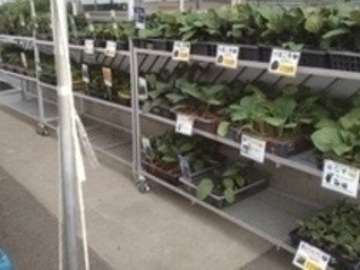 有限会社松村園芸-6