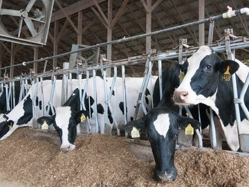 株式会社ヤスカネ・ジャパン-1