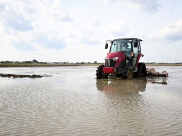 株式会社米杜氏農場-3