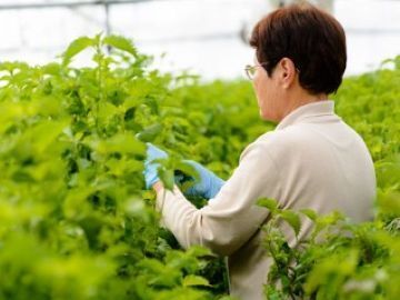 株式会社出来商店-2