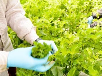 株式会社出来商店-5