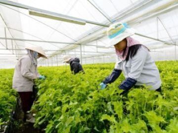 株式会社出来商店-6