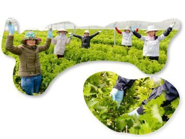 株式会社出来商店-4