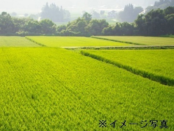 株式会社米杜氏農場-6