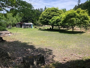 東京都目黒区×獣医師/法人【0926】-1