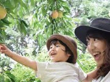 有限会社丸山フルーツ農園-2