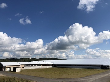 株式会社トレジャーロッジ-top