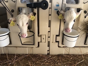 株式会社トレジャーロッジ-3