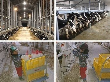 株式会社トレジャーロッジ-4