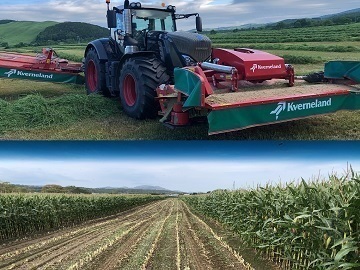 株式会社トレジャーロッジ-7