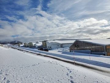 北海道真狩村×養豚/法人【42982】-1