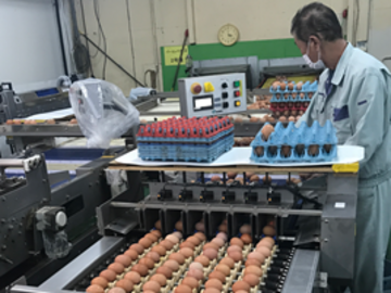 千葉県銚子市×養鶏/法人【43064】-2