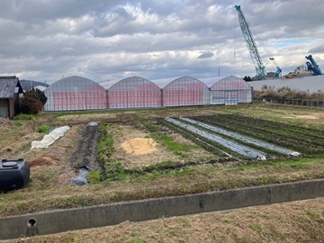 しのはらいちご園-4