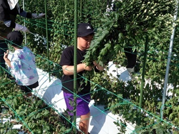 堅川ファーム-2