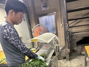 堅川ファーム-4