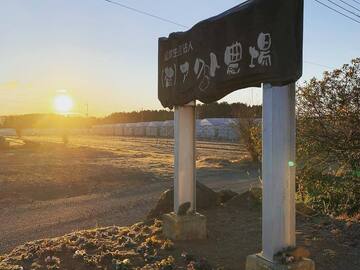 有限会社アクト農場-1