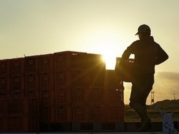 株式会社クロサワファーム-5