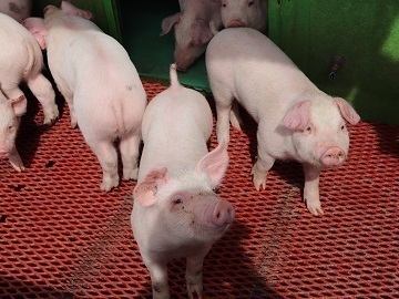 株式会社飯田ファーム-3