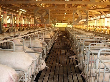 株式会社飯田ファーム-4