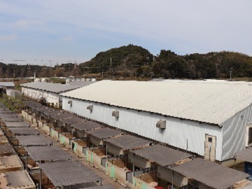 株式会社飯田ファーム-5