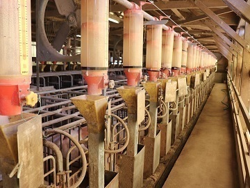 株式会社飯田ファーム-6