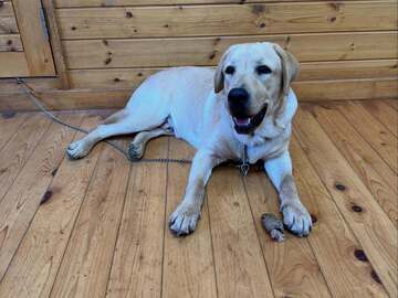 有限会社アクト農場-8