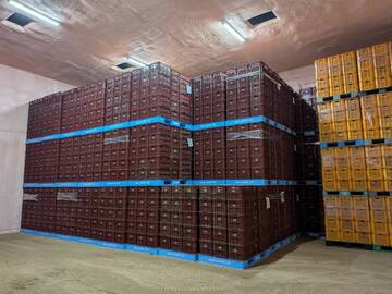 有限会社小橋(こばし)農園-5