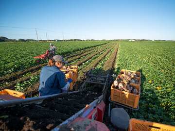 株式会社クロサワファーム-7