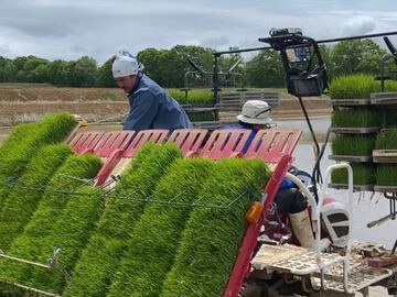 株式会社FARMひまわり【短期アルバイト】-top