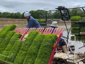 株式会社FARMひまわり【短期アルバイト】-top