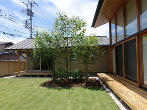 株式会社池田樹木医事務所-top