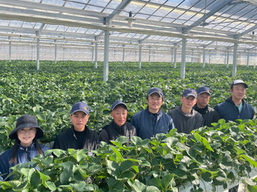 やまも製茶株式会社-4